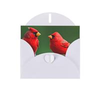 Kashinn Carte de vœux nacrée avec enveloppe vierge pour remerciements, invitations, condoléances Imprimé oiseaux rouges