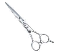 KASHO Ciseaux à cheveux Design Master KDM-60 s 6"