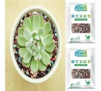 Kasmole 1 Kg Cailloux Bonsai, Mélange De Pierres De Lave Horticole Galets De Pierre Ponce pour Cactus, Gravier Décoratif pour Le Drainage DesPlantes Roche Volcanique pour Terrarium