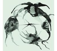 Kassel Jaeger - A Rift In The Horizon's Wall [Vinyl Lp]