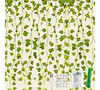 KASZOO Lot de 12 guirlandes lumineuses de lierre artificiel avec 252 LED, rideau LED pour mariage, bureau, jardin, fête, décoration murale