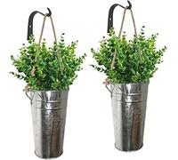 Katai - 2-Pack Wall Mounted Planters for Indoor Plants - Hanging Planter Holder - Decor Vases for Succulent & Plant