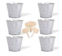 Katai - Lot de 6 seaux Pots de Fleurs en métal galvanisé - Petits seaux en étain rustiques pour Fleurs, Plantes et Herbes