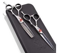Katana Classic Professional 6.5 """" Shear Set par Tokko Shears Premium 440c Japanese Steel et Ciseaux d'amincissement pour les barbiers et salon P
