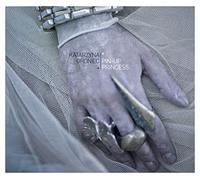 Katarzyna Groniec - Pin-Up Princess [Import]