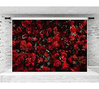 Kate 2.2x1.5m (7x5ft) Arrière-Plans de la Saint-Valentin Fond de Fleur Rose Décors Floraux Photographie de Mariage Toiles de Fond en Microfibre Portraits Fond de Photo Accessoires de Photographe