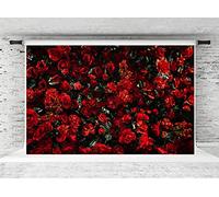 Kate 3x2m (10x6.5ft) Arrière-Plans de la Saint-Valentin Fond de Fleur Rose Décors Floraux Photographie de Mariage Toiles de Fond en Microfibre Portraits Fond de Photo Accessoires de Photographe