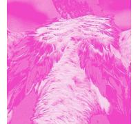 Kate Carr - A Field Guide To Phantasmic Birds [Compact Discs]