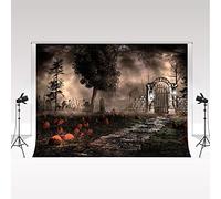 Kate Nuit d'halloween Jeu de rôle décor arrière Plan 3x2m/10x6,5ft Terror Theme Store Windows Decoration Cemetery Citrouille Waste Castle Studio Bar Club Halloween Night Party arrière Plan