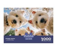 Kate_Shen_1o12_Group_of_Adorable_West_Highland_White_Terrier_PU_cbd13d6f-8daf-410b-8c8b-e9e8a1686845 Carton De Qualité Jeu Relaxant, Idéal pour Se Détendre, Réduire La Pression Et Profiter De La Vie