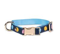 kate spade new york Joli collier pour chien avec détails en métal doré et boucle en plastique, 26,7 cm à 34,3 cm, collier réglable pour chiens femelles ou mâles, chiens de petite et moyenne taille