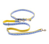 Kate Spade New York Laisse mains libres pour promener le chien, taille réglable, 86,4 à 152,4 cm, longue laisse pour chien avec matériel en métal doré, pluie de chats et de chiens