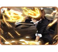 Katekyō Hitman Reborn!, Tsunayoshi Sawada Anime Poster Décoration murale rétro en métal 20,3 x 30,5 cm