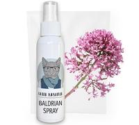 Kater Kasimir Spray de valériane XL pour chat, 100 % naturel, sans additifs, le spray de valériane rend les jouets ennuyeux pour les chats intéressants pour l'auto-occupation des chats