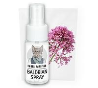 Kater Kasimir Spray valériane pour Chat - 100% Naturel sans additifs - Jouet ennuyeux intéressant pour l'auto-Occupation des Chats