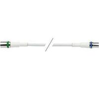 Kathrein ETH 3000 Câble coaxial 5 m IEC Blanc (20410046)
