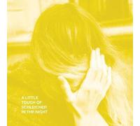 Katie Schleicher Von - A Little Touch Of Schleicher In The Night [Vinyl Lp]