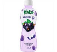 KATO Jus de cassis avec nata de coco - 320 ml