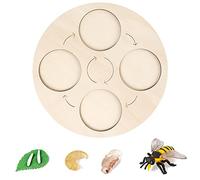 Katutude Cycle de Croissance des Insectes Modèle Jouet Kit, Plateau de Cycle de Vie Montessori Animaux Figurine Éducatif Jouet Cadeau pour Enfants Garçons Filles