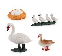 Katutude Modèle de Cycle de Croissance, Étapes du Cycle de Vie Modèle Animal de Simulation Etape de Croissance Cycle de Vie Figures Animaux Jouet D'éducation Précoce pour Enfants