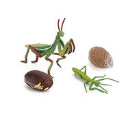 Katutude Modèle dinsecte Jouet Insectes 3D modèles réalistes Enfants modèle Animal en Plastique Enfants Aides pédagogiques Enfants biologie Science pour Les Enfants De 5 à 12 Ans(Mante Religieuse)