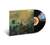 Katy Lied