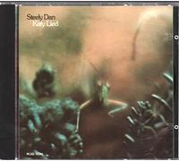 Katy Lied