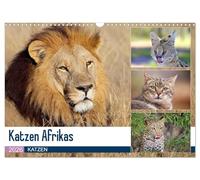 Katzen Afrikas (Wandkalender 2026 DIN A3 quer), CALVENDO Monatskalender: Begegnungen mit den Raubkatzen Afrikas