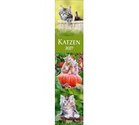 Katzen Langplaner 2027: Langplaner