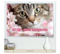 Katzen - sanfte Schönheiten (hochwertiger Premium Wandkalender 2026 DIN A2 quer), Kunstdruck in Hochglanz: Lassen Sie sich jeden Monat aufs Neue durch die wunderbare Welt der Katzen verzaubern.
