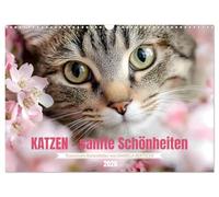 Katzen - sanfte Schönheiten (Wandkalender 2026 DIN A3 quer), CALVENDO Monatskalender: Lassen Sie sich jeden Monat aufs Neue durch die wunderbare Welt der Katzen verzaubern.