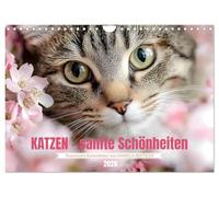 Katzen - sanfte Schönheiten (Wandkalender 2026 DIN A4 quer), CALVENDO Monatskalender: Lassen Sie sich jeden Monat aufs Neue durch die wunderbare Welt der Katzen verzaubern.