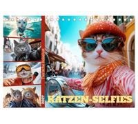 KATZEN-SELFIES Tierische Reiselust (Tischkalender 2027 DIN A5 quer), CALVENDO Monatskalender: Fellknäuel erkunden die Welt
