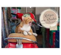 Katzen von Rhodos - Kleine Götter auf vier Pfoten (Wandkalender 2026 DIN A2 quer), CALVENDO Monatskalender: Straßenkatzen von Rhodos - entspannte ... für Katzen- und Griechenlandliebhaber.