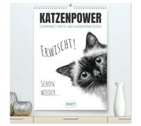 Katzenpower - Charmant, frech und wunderbar eigen (hochwertiger Premium Wandkalender 2027 DIN A2 hoch), Kunstdruck in Hochglanz: Witzige Gedanken aus dem Katzenalltag