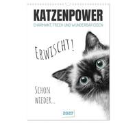 Katzenpower - Charmant, frech und wunderbar eigen (Wandkalender 2027 DIN A3 hoch), CALVENDO Monatskalender: Witzige Gedanken aus dem Katzenalltag