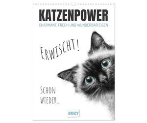 Katzenpower - Charmant, frech und wunderbar eigen (Wandkalender 2027 DIN A3 hoch), CALVENDO Monatskalender: Witzige Gedanken aus dem Katzenalltag