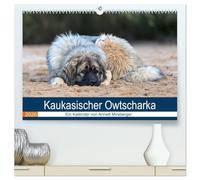 Kaukasischer Owtscharka (hochwertiger Premium Wandkalender 2026 DIN A2 quer), Kunstdruck in Hochglanz: Ihre Aufgabe ist die Bewachung von Haus und Hof und z.B. Schafherden