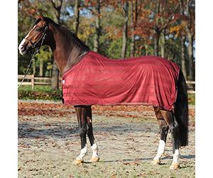 Kavalkade Couverture Anti-Insecte/été pour Cheval Stripe