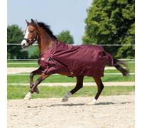 Kavalkade Couverture d'extérieur pour Cheval Alaska IV 100 g