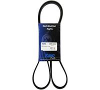 Kavo DMV-9037 Courroie trapézoïdale à nervures