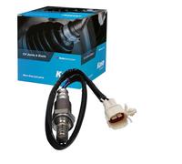 Kavo EOS-8503 Sonde lambda