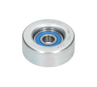 KAVO PARTS DIP-10003 Galet enrouleur de courroie d'accessoire
