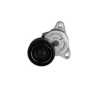 KAVO PARTS DTP-3002 Poulie, tendeur de courroie d'accessoire