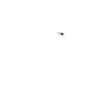 KAVO PARTS ECT-3002 Sonde de température, liquide de refroidissement