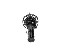 KAVO PARTS Jambe de suspension Amortisseur Avant droit Gaz SSA-2003