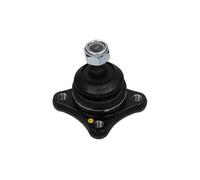 KAVO PARTS SBJ-5516 Rotule de suspension