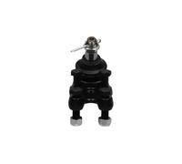 KAVO PARTS SBJ-5520 Rotule de suspension
