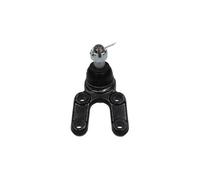 Pivot de bras de suspension pour bras oscillant transversal SBJ-7503 KAVO PARTS