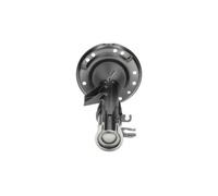 KAVO PARTS SSA-10001 Jambe de suspension Amortisseur pour FIAT 500 (312) Avant